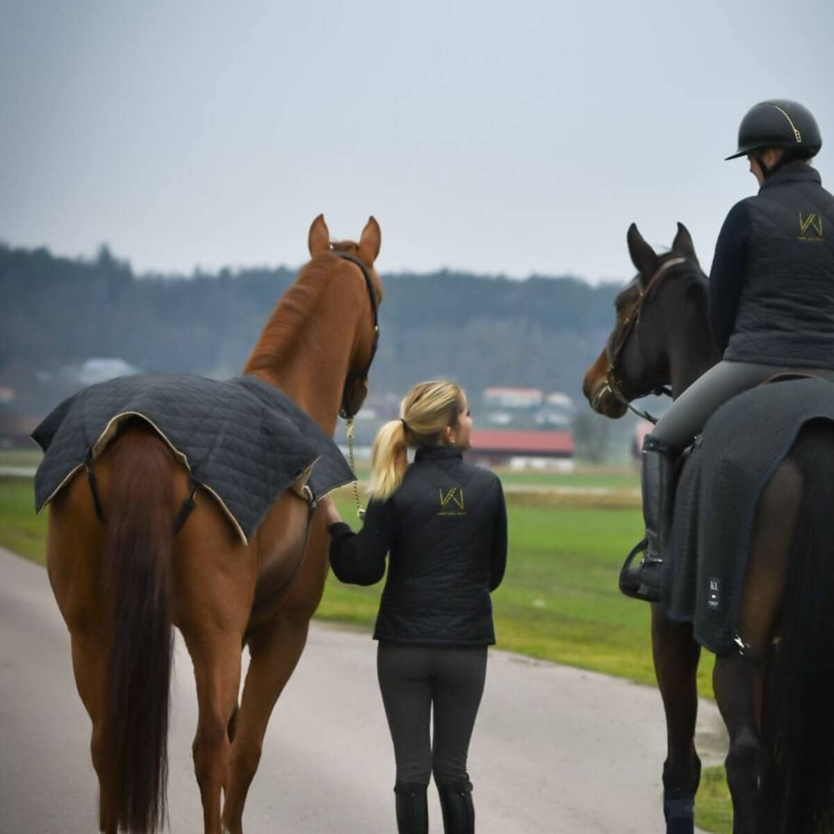 Warm Your Horse ryggvärmare i användning på häst för uppvärmning av ryggmuskler