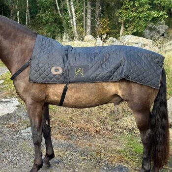 Warm Your Horse ryggvärmare batteridriven för häst med värme och vibrationsmassage